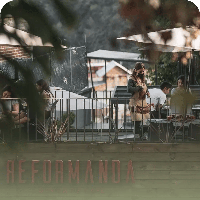 reformanda