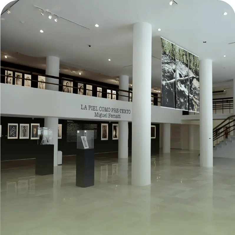 pinacoteca