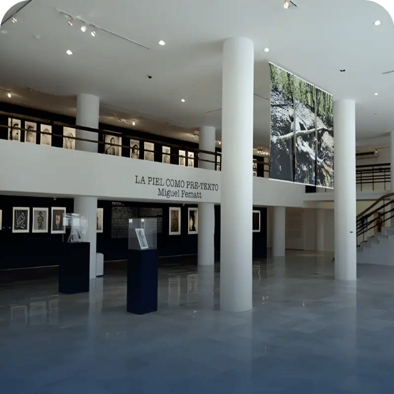 pinacoteca